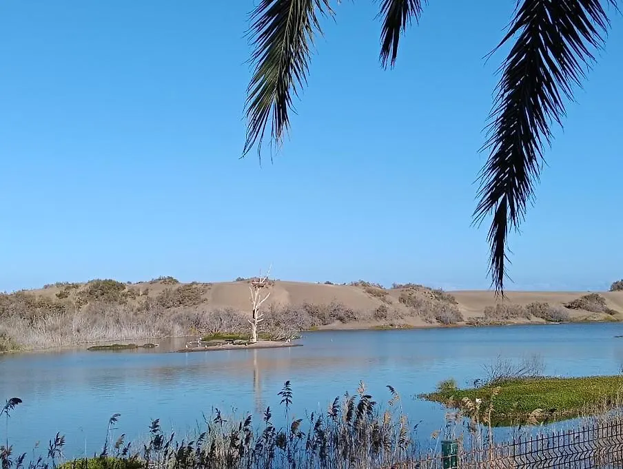 Weisshorn Bungalow 28 Maspalomas  Maspalomas (Gran Canaria)